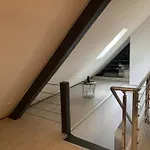 Cocoon Loft Colmar