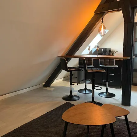 Cocoon Loft Кольмар