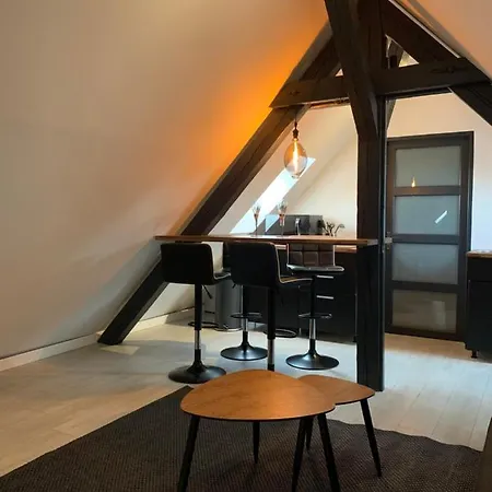 Cocoon Loft Кольмар